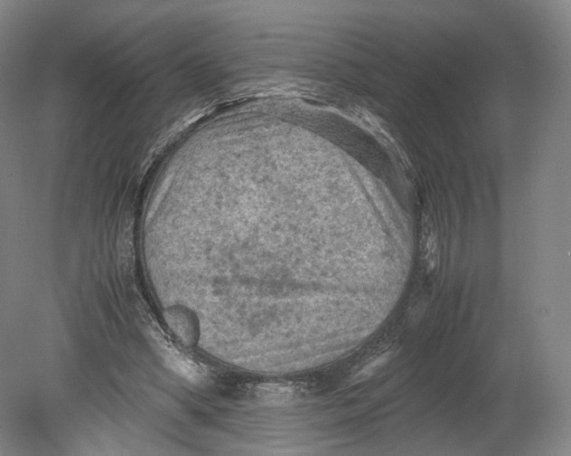 X0000080810394200701021321