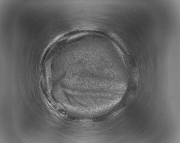 X0000080810395200701021321