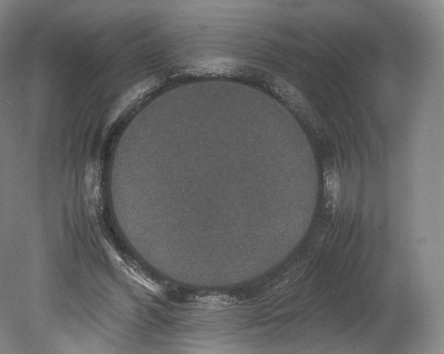 X0000080810396200701021321