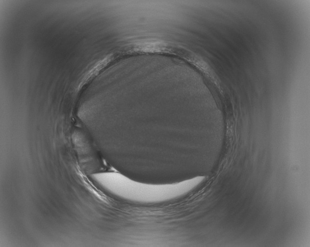 X0000080810397200701021321