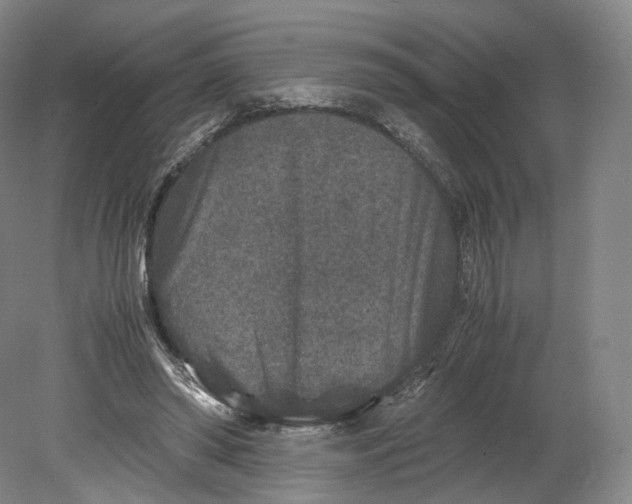 X0000080810398200701021321