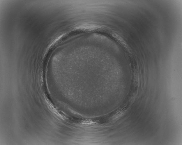 X0000080810399200701021321