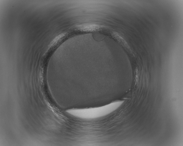 X0000080810400200701021321