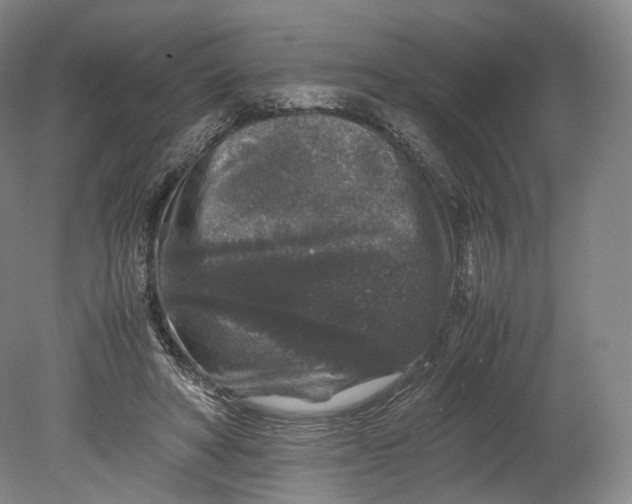 X0000080810402200701021321