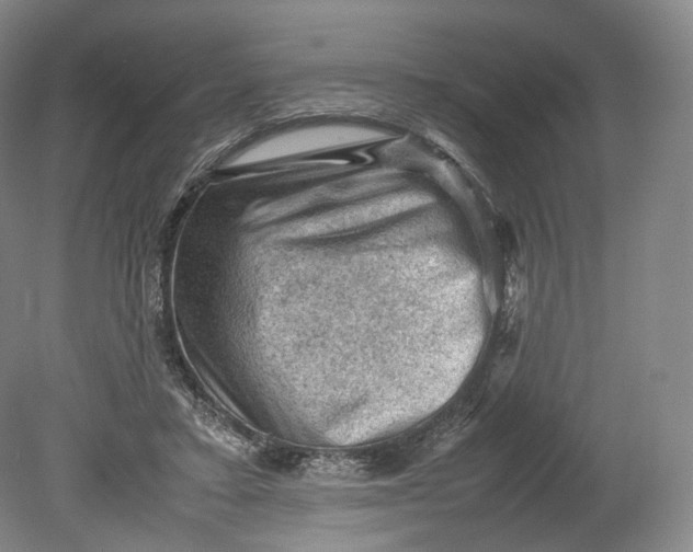 X0000080810403200701021321