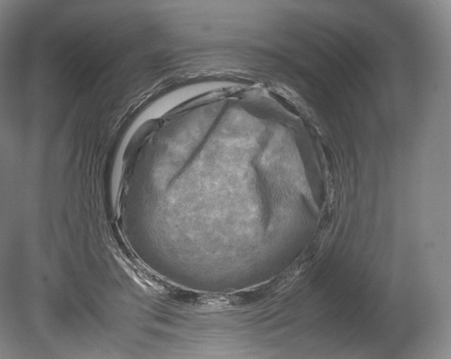 X0000080810405200701021321