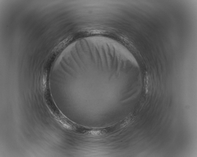 X0000080810406200701021321