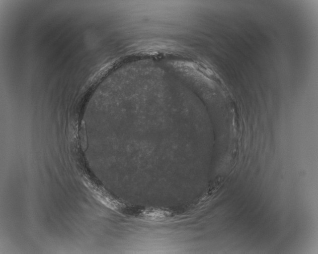 X0000080810407200701021321