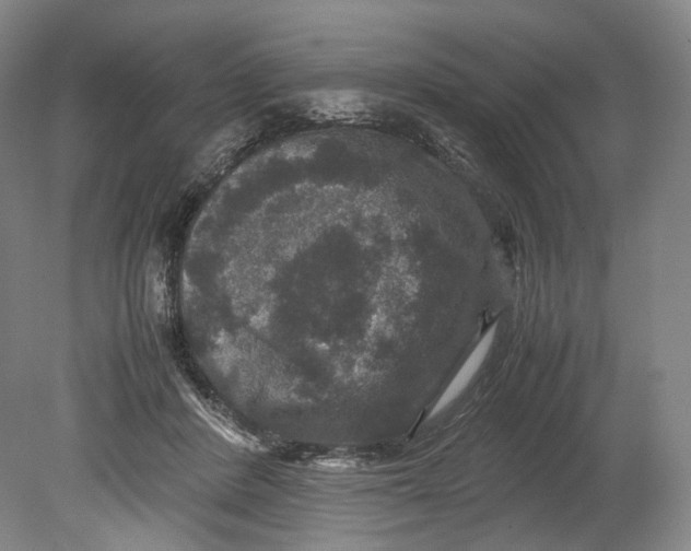 X0000080810408200701021321