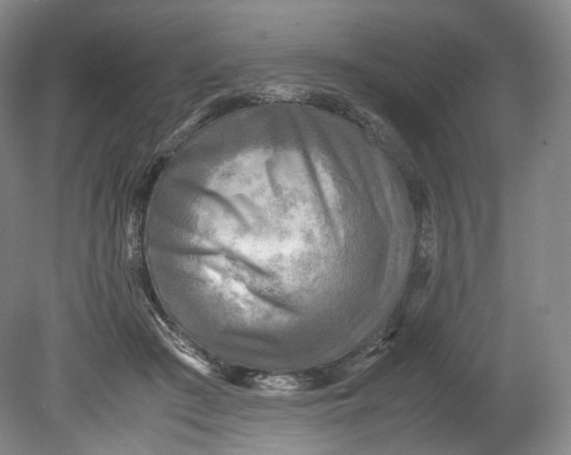 X0000080810409200701021321