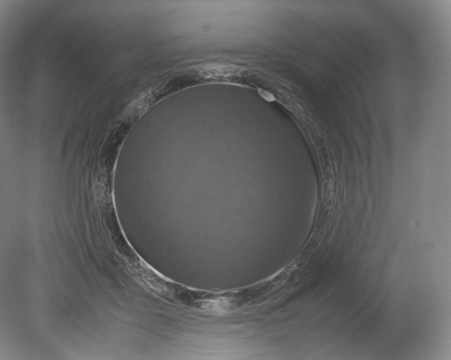 X0000080810411200701021321