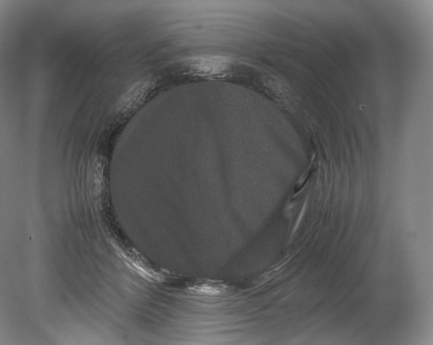 X0000080810412200701021321