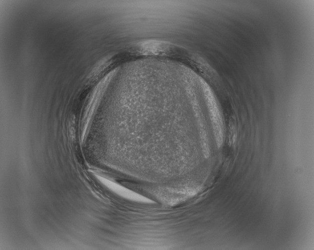 X0000080810413200701021321