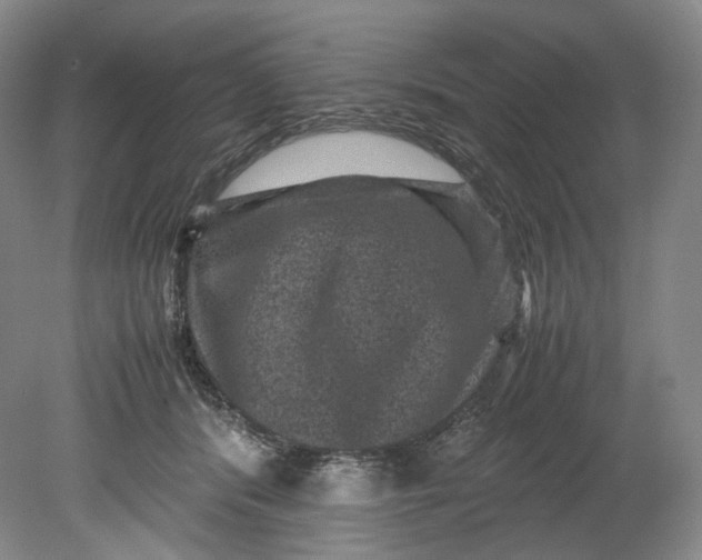 X0000080810416200701021321