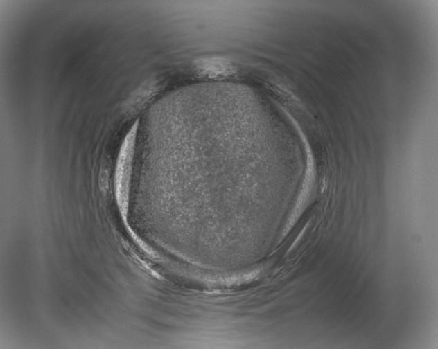 X0000080810417200701021321