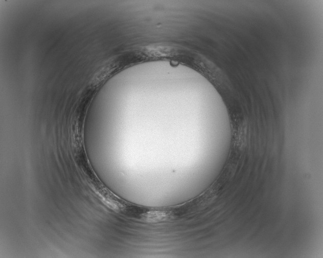 X0000080810418200701021321