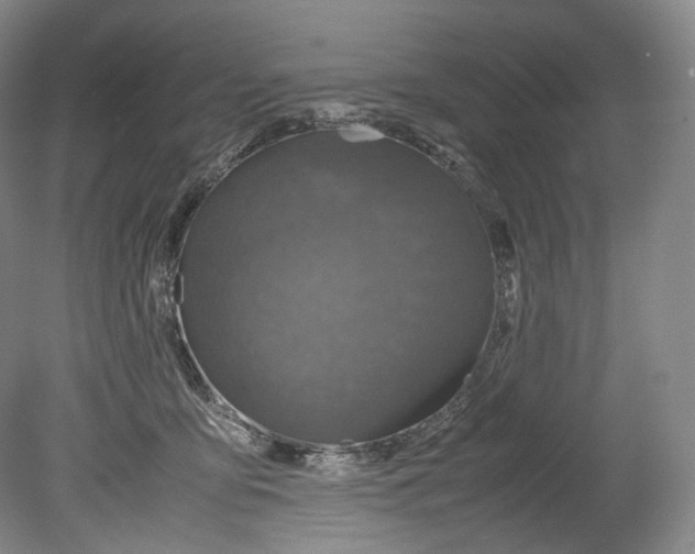 X0000080810419200701021321