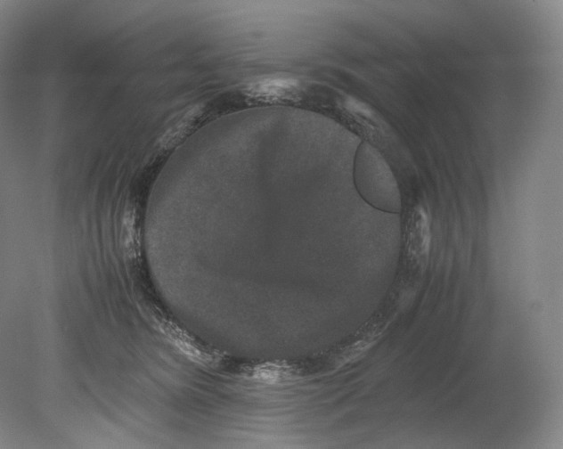 X0000080810420200701021321