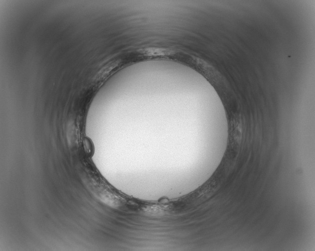 X0000080810422200701021321