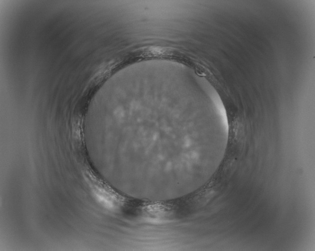 X0000080810423200701021321