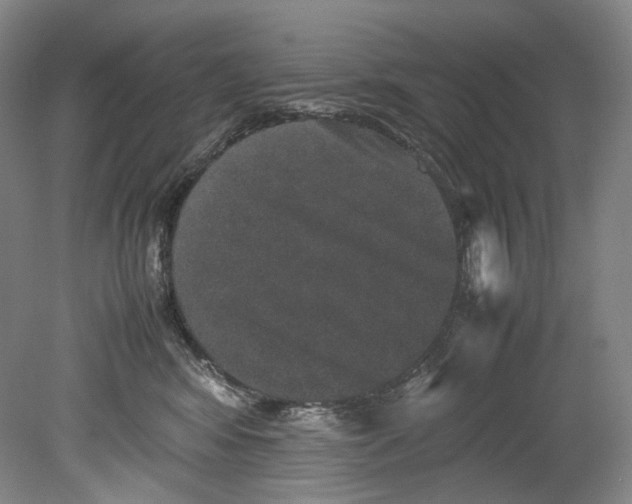 X0000080810424200701021321