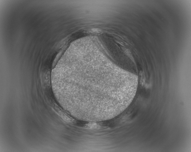 X0000080810425200701021320