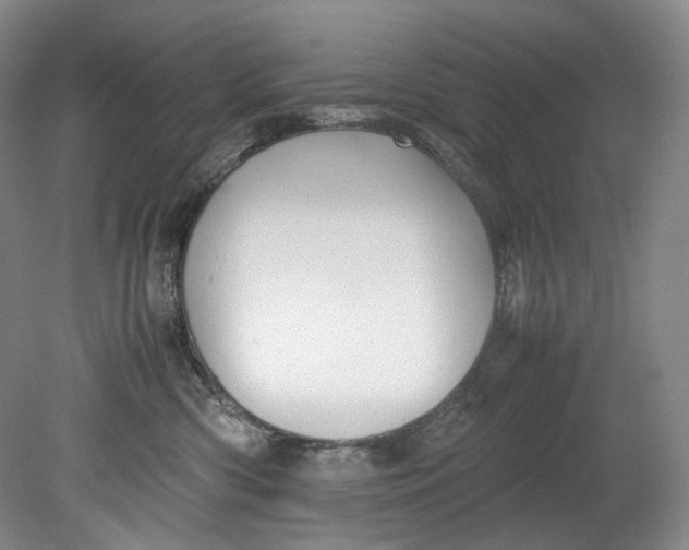 X0000080810426200701021320