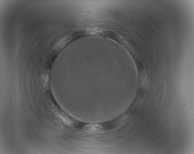 X0000080810427200701021320