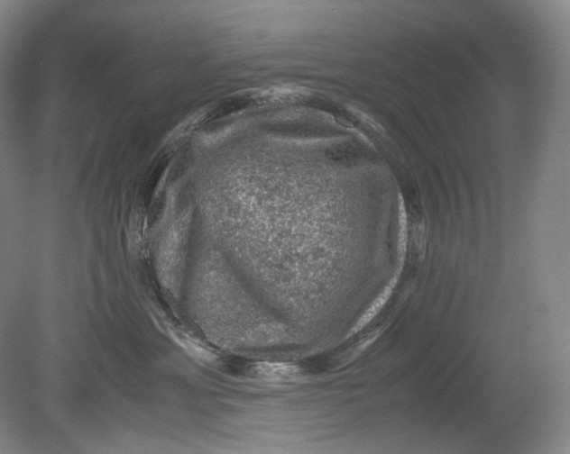 X0000080810429200701021320