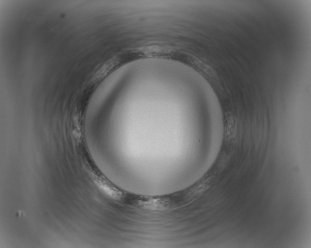 X0000080810430200701021320