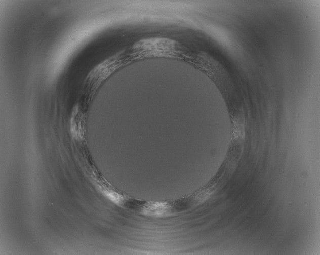 X0000080810431200701021320