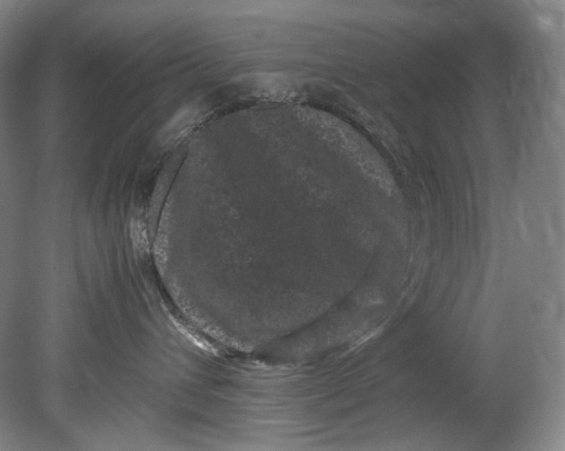 X0000080810432200701021320