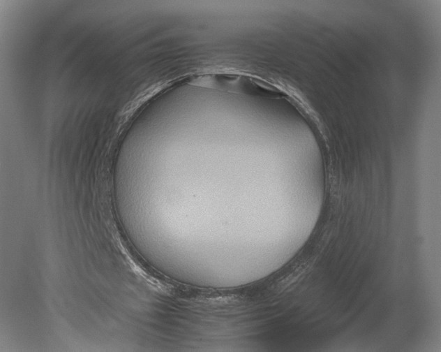 X0000080810433200701021320