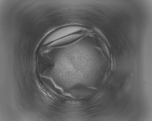 X0000080810435200701021320