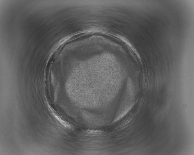 X0000080810437200701021320