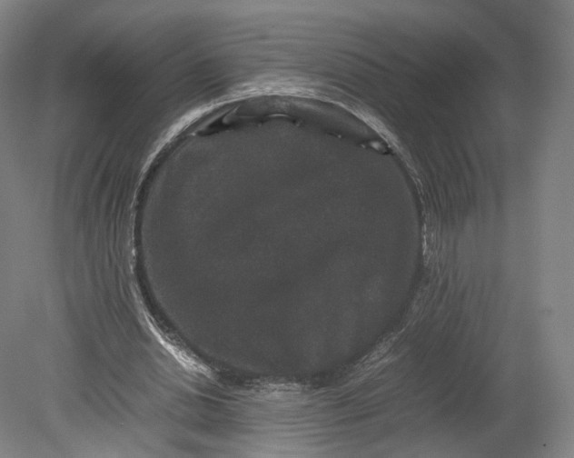 X0000080810438200701021320