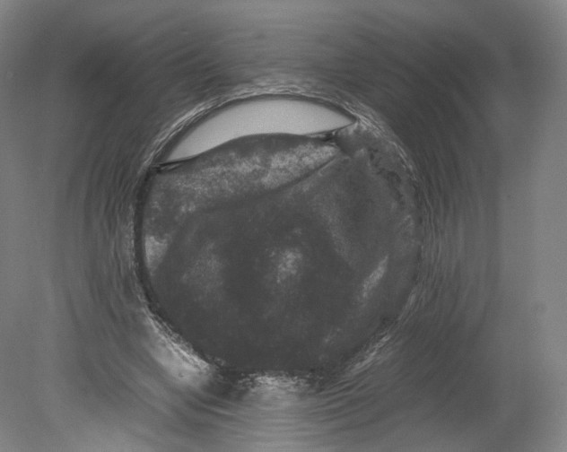 X0000080810442200701021320