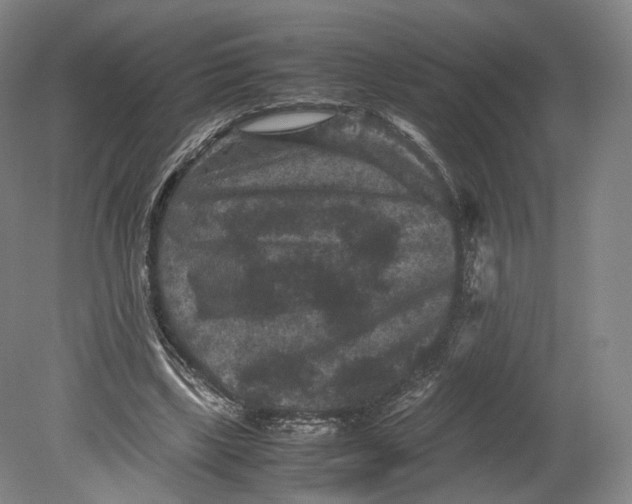 X0000080810443200701021320