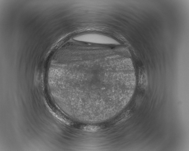 X0000080810444200701021320