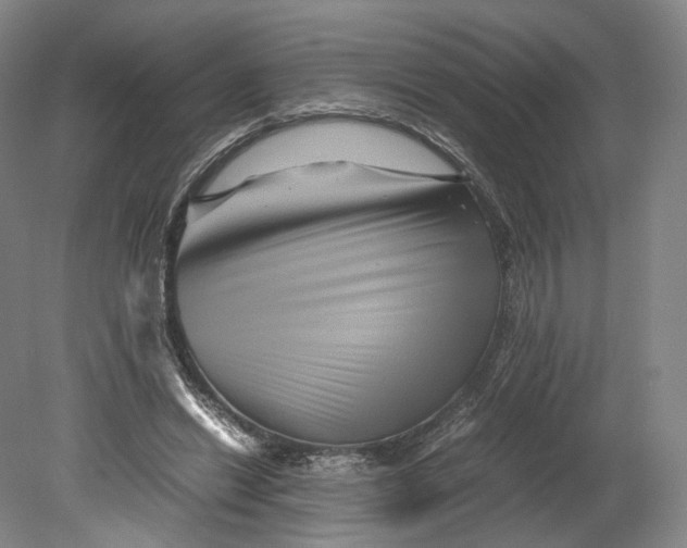 X0000080810446200701021320