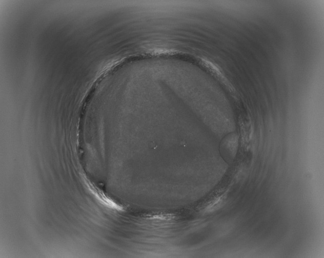 X0000080810447200701021320