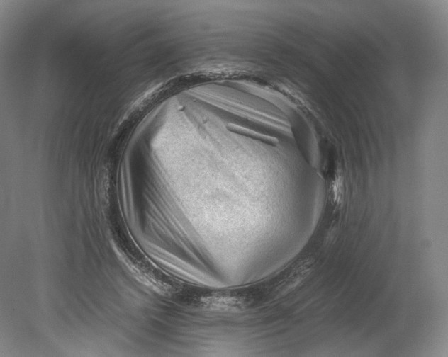 X0000080810448200701021320