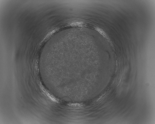 X0000080810449200701021320