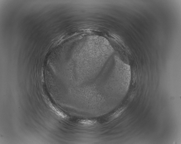 X0000080810453200701021320