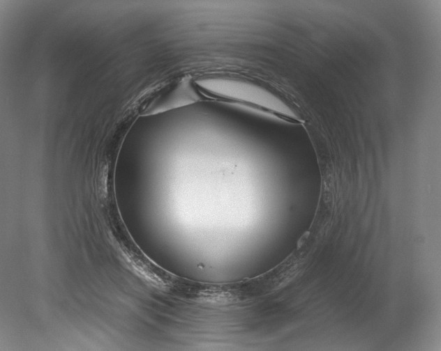 X0000080810454200701021320