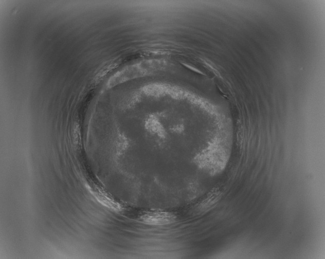 X0000080810459200701021320