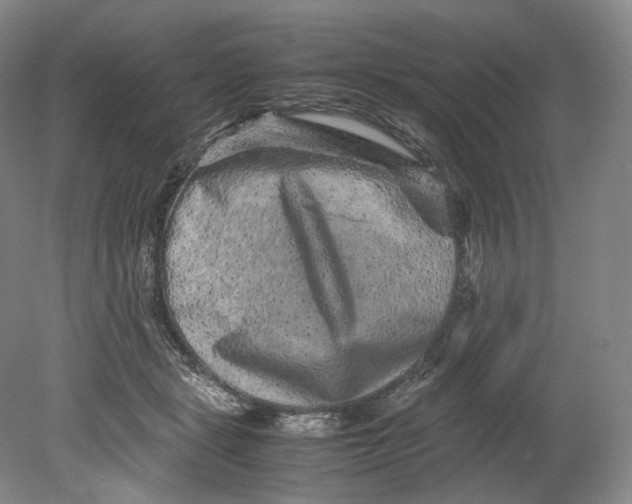 X0000080810461200701021320