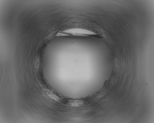 X0000080810463200701021320