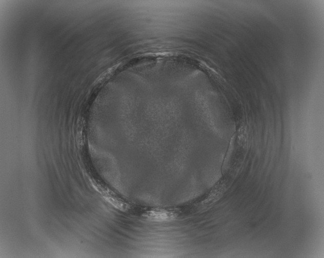 X0000080810464200701021320