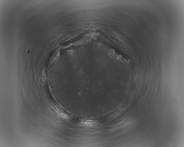 X0000080810467200701021320